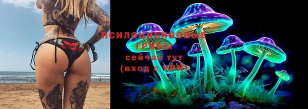 дурь Абинск