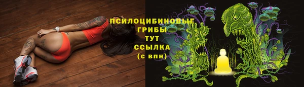дурь Абдулино
