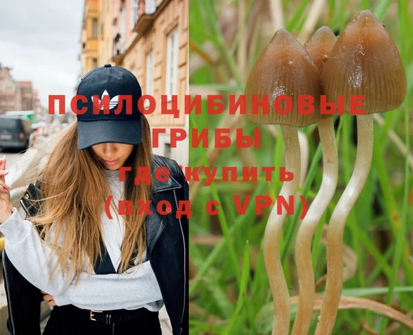 дурь Абинск