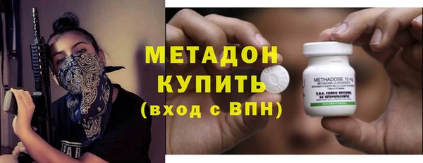хмурый Пересвет