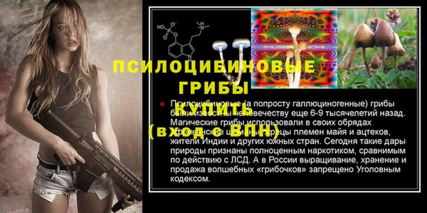 дурь Абдулино