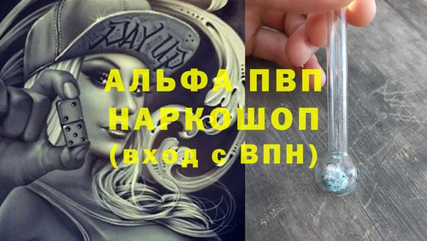 хмурый Пересвет