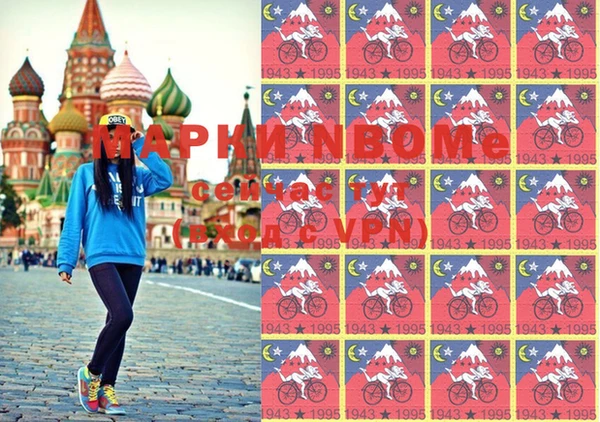 хмурый Пересвет