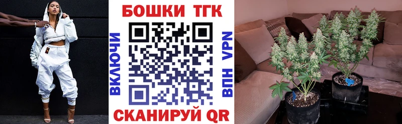 Конопля OG Kush  Карталы 